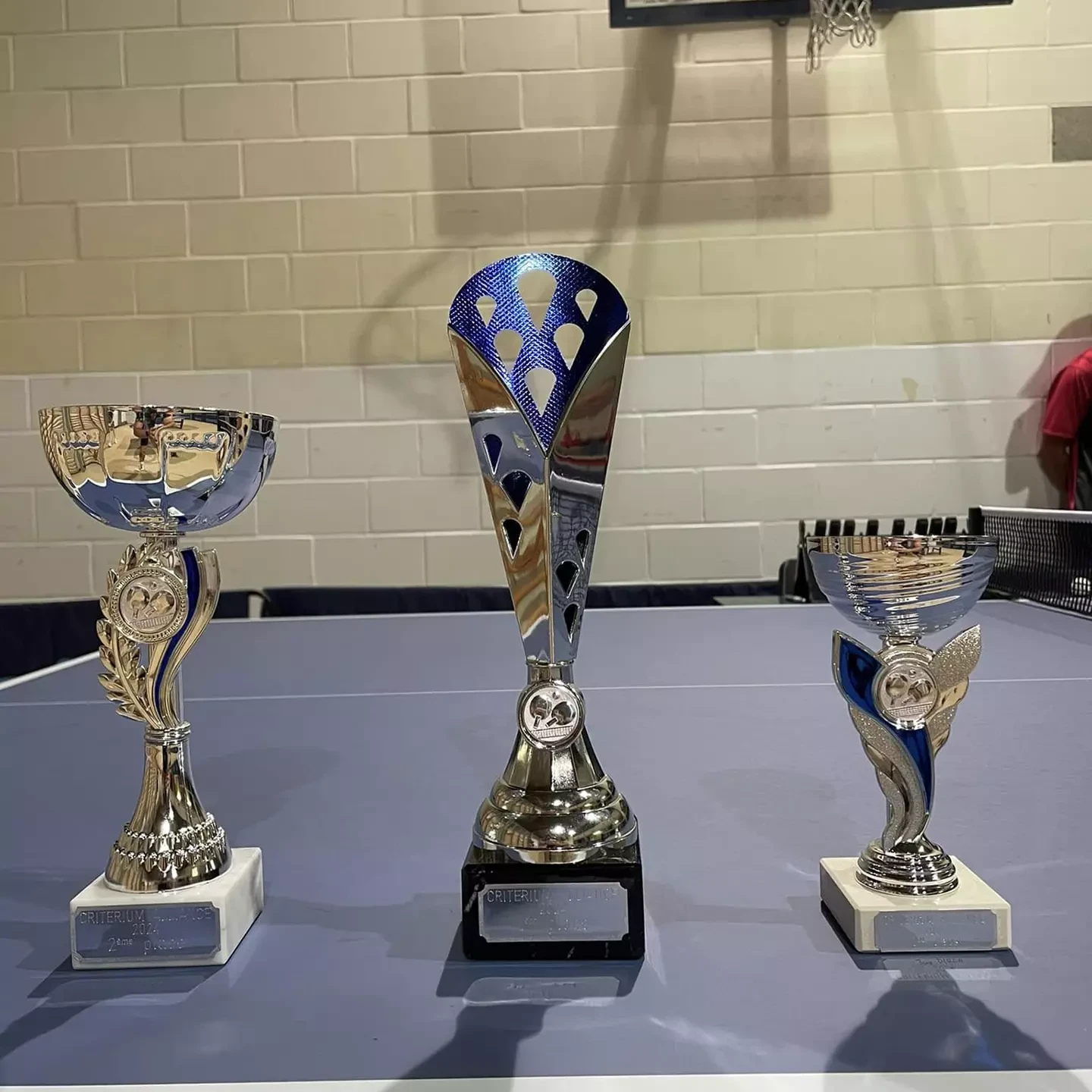 Alliance Fl&eacute;malle Tennis de Table - Criteriums